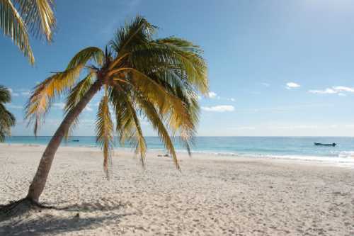 Port st lucie real estate